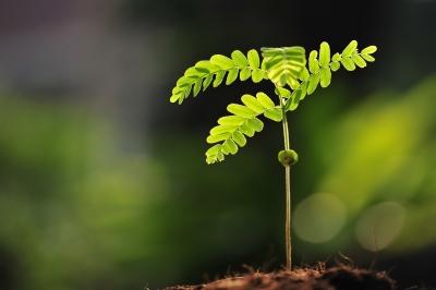 Controla a tus hijos con suavidad Controla a tus hijos con suavidad