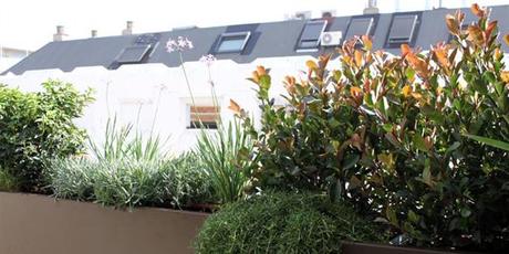 Especial decorar y reformar terrazas: cómo ajardinar petos y