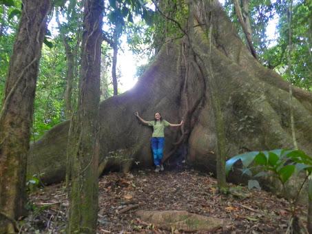 Qué visitar en Arenal, la región del gran volcán de Costa Rica Qué visitar en Arenal, la región del gran volcán de Costa Rica