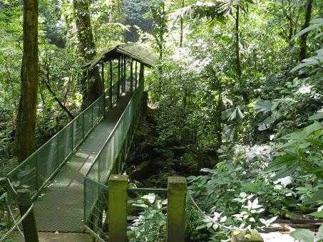Qué visitar en Arenal, la región del gran volcán de Costa Rica Qué visitar en Arenal, la región del gran volcán de Costa Rica