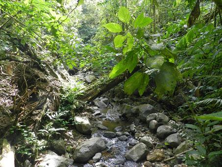 Qué visitar en Arenal, la región del gran volcán de Costa Rica Qué visitar en Arenal, la región del gran volcán de Costa Rica