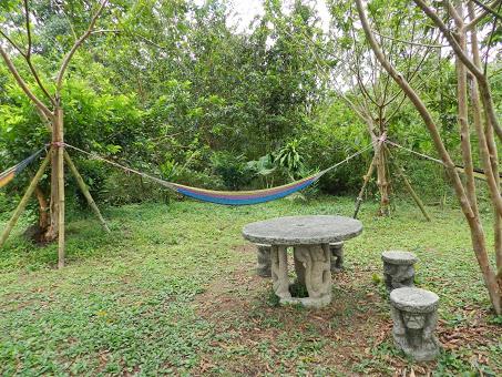 Qué visitar en Arenal, la región del gran volcán de Costa Rica Qué visitar en Arenal, la región del gran volcán de Costa Rica