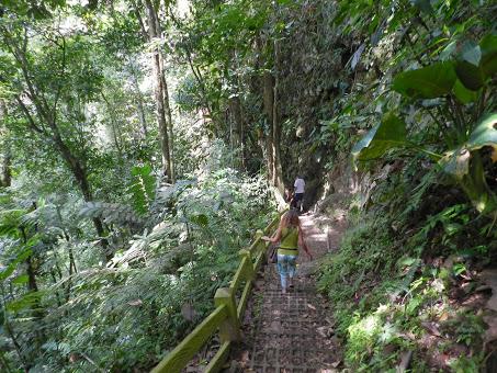 Qué visitar en Arenal, la región del gran volcán de Costa Rica Qué visitar en Arenal, la región del gran volcán de Costa Rica