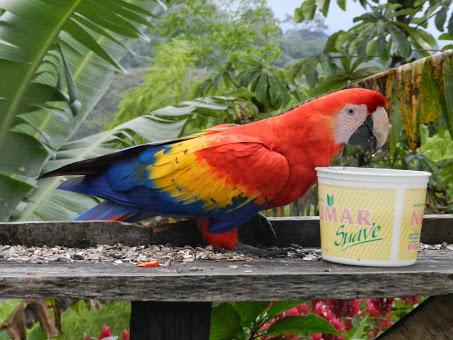 Qué visitar en Arenal, la región del gran volcán de Costa Rica Qué visitar en Arenal, la región del gran volcán de Costa Rica
