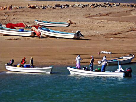 La Costa de Sharqiyah: de Qurayat a Al-Ashkarah La Costa de Sharqiyah: de Qurayat a Al-Ashkarah