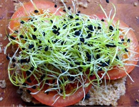 Sandwichs variados y alguna guarrindongada Sandwichs variados y alguna guarrindongada