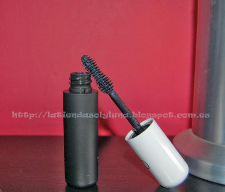 Proyecto CK One Color en TRND Proyecto CK One Color en TRND