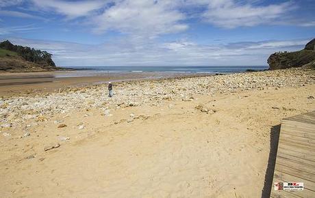 Playa de Luaña, Cobreces