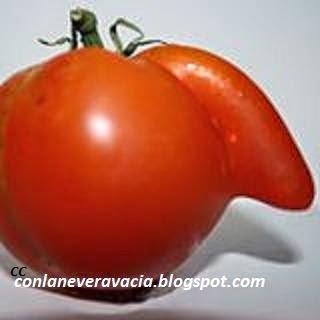 conlaneveravacia.blogspot.com ANETO TOMATE FRITO