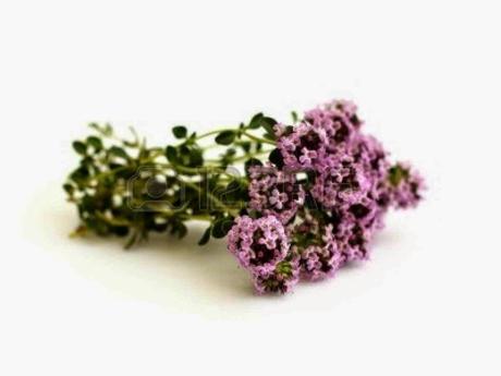 conlaneveravacia.blogspot.com ANETO TOMATE FRITO