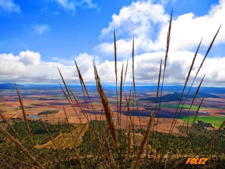 Monte Arabí (Yecla)