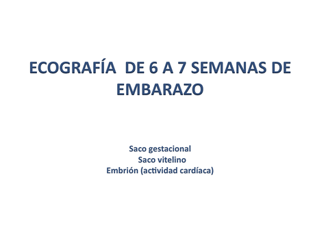  ECOGRAFIA EMBARAZO video