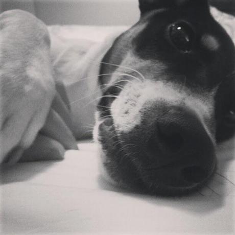 Un año de felicidad Un año de felicidad