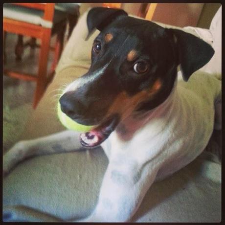 Un año de felicidad Un año de felicidad