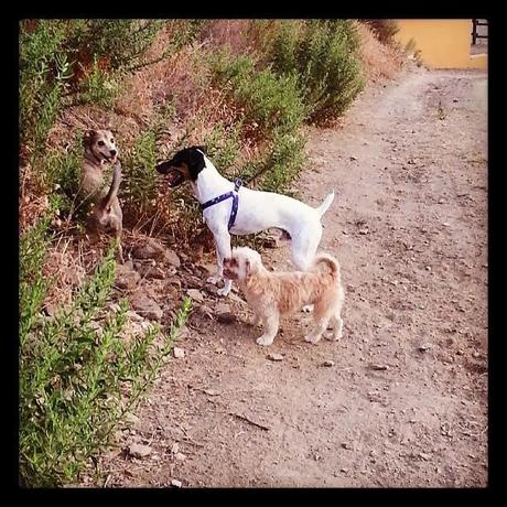 Un año de felicidad Un año de felicidad