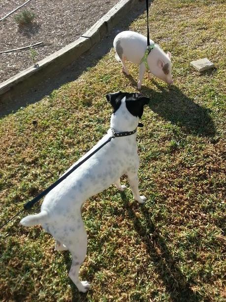 Un año de felicidad Un año de felicidad