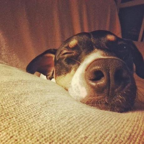 Un año de felicidad Un año de felicidad