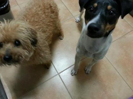 Un año de felicidad Un año de felicidad