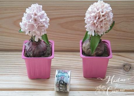 Lunes de recomendaciones: Un blog indispensable y una tienda que no podéis perderos Lunes de recomendaciones: Un blog indispensable y una tienda que no podéis perderos