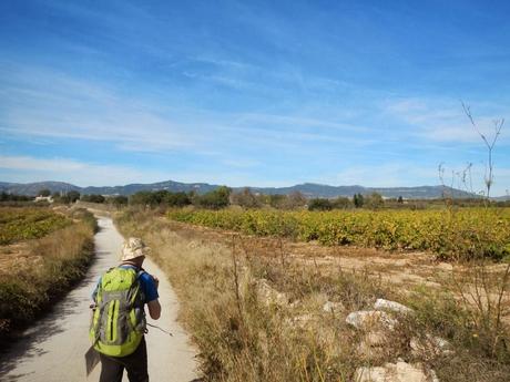 De Santes Creus a Valls (Tarragona)