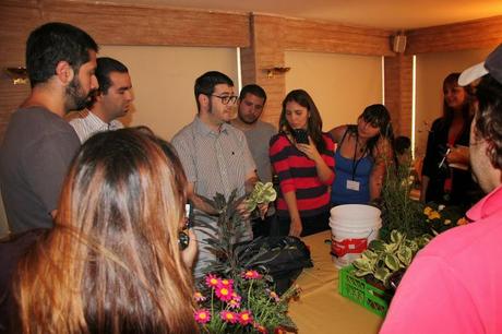 Imágenes del curso de jardines verticales en Santiago de Chile Curso de jardines verticales, gestión de la plantación