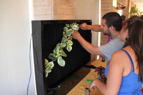 Imágenes del curso de jardines verticales en Santiago de Chile Práctica de plantación de jardines verticales