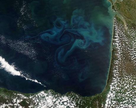 Fitoplancton_Golfo-de-Vizcaya_NASA