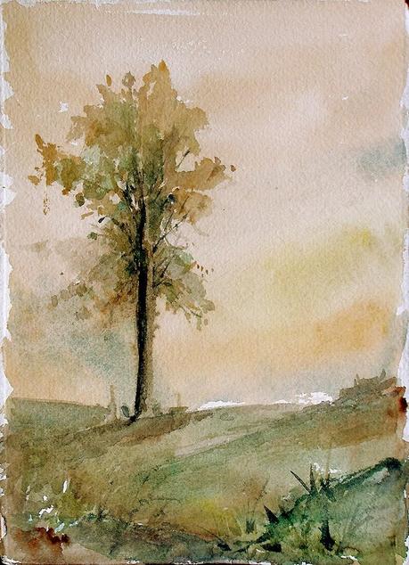 Acuarelas de árboles. Watercolor trees