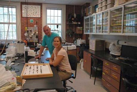 Michelle Staudinger estudia la comida de los cachalotes Michelle Staudinger estudia la comida de los cachalotes