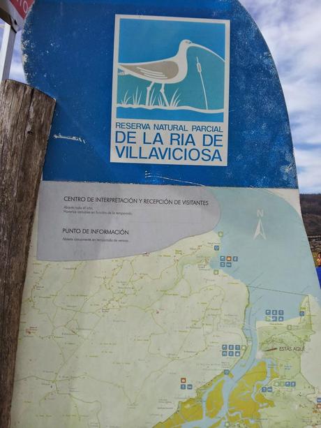 PR-AS 231: Ruta de la Ría de Villaviciosa