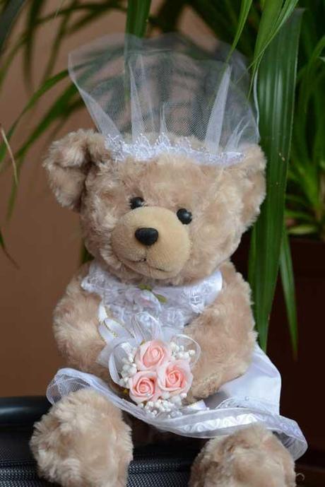 Seguro que es la edad seguro-que-es-la-edad