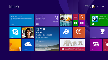 windows81