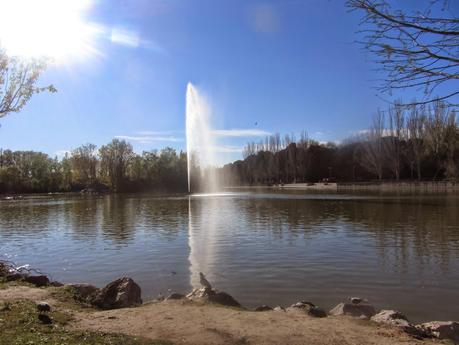 El Lago del Parque Natural El Soto está rodeado de zonas de ocio El Lago del Parque Natural El Soto está rodeado de zonas de ocio