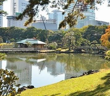 Razones para viajar a Japón y visitar Tokio Razones para viajar a Japón y visitar Tokio