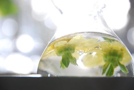 “He reconocido mi felicidad en el ruido que ha dejado al irse.” hogar 007