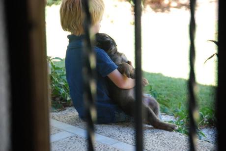 ALTRUISMO = procurar el bien ajeno sin esperar nada a cambio Perrito 004