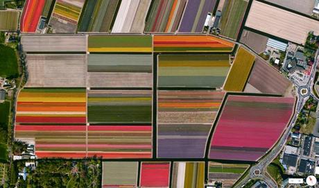 Daily Overview, la Tierra desde arriba Daily Overview, la Tierra desde arriba