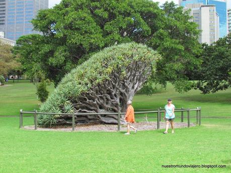 Sydney; descubriendo la Opera House