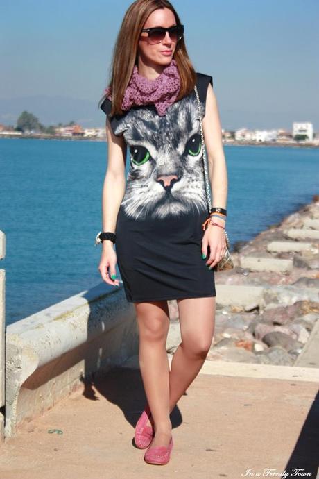 CAT OUTFIT 1 1