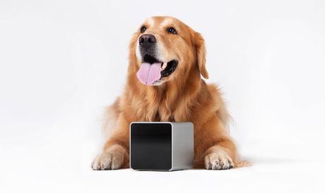 Friday’s Gadget: Petcube Petcube