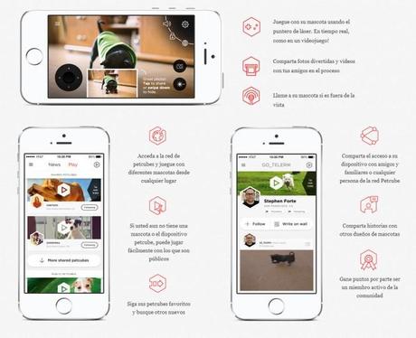 Friday’s Gadget: Petcube petcube-3