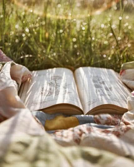 Dias tranquilos / Quiet Days Dias tranquilos / Quiet Days