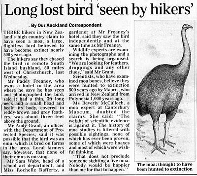 El Ave Moa de Nueva Zelanda El Ave Moa de Nueva Zelanda