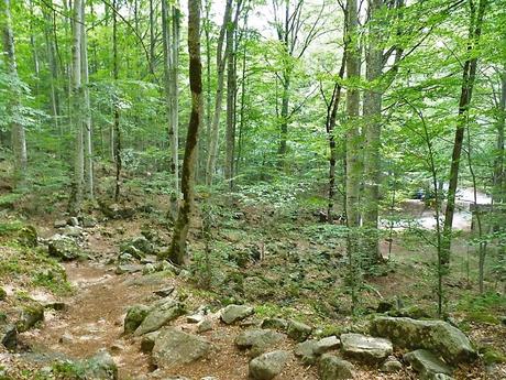 De excursión por Bulgaria De excursión por Bulgaria