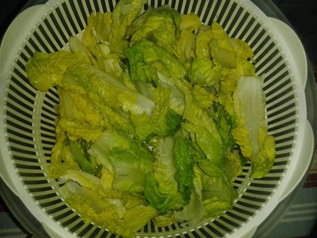 Lechuga escurrida lechuga escurrida