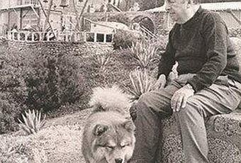 Pablo Neruda un perro ha muerto Pablo Neruda un perro ha muerto
