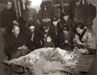 La lealtad del perro se llama Hachiko. La lealtad del perro se llama Hachiko.