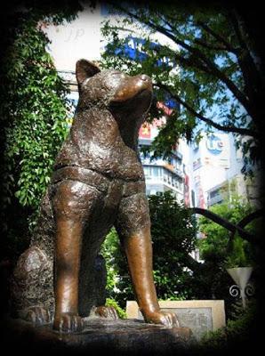 La lealtad del perro se llama Hachiko. La lealtad del perro se llama Hachiko.