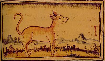 Xoloitzcuintles, los perros de Frida Kahlo. Xoloitzcuintles, los perros de Frida Kahlo.