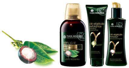 Reduce volumen en 3 pasos con Yves Rocher